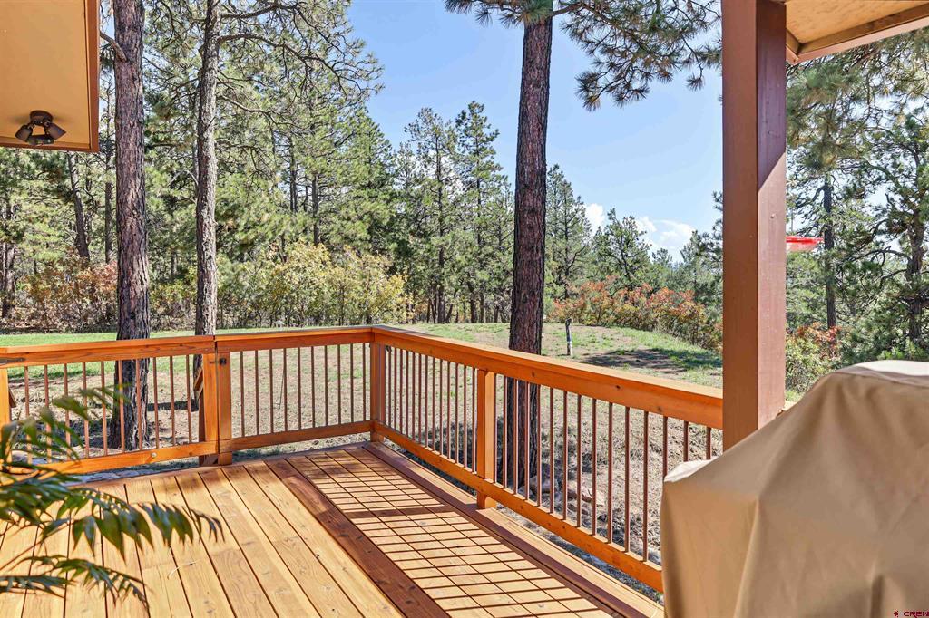 108 Cameo Court Pagosa Springs CO 81147