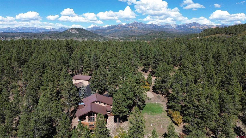 108 Cameo Court Pagosa Springs CO 81147
