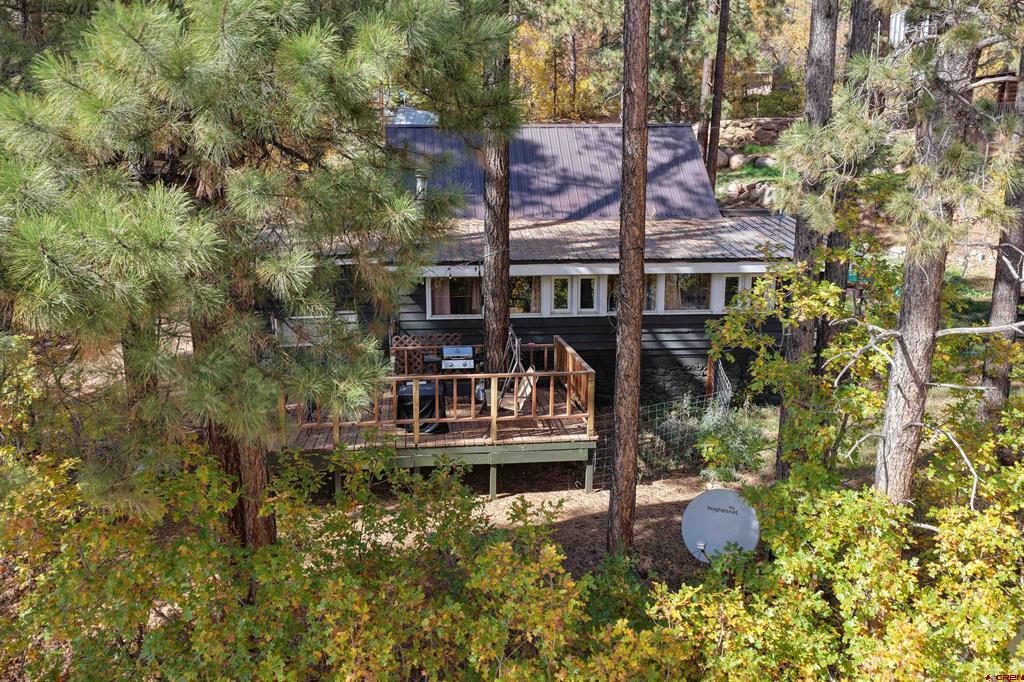 14294 County Road 501 Vallecito Lake/bayfield CO 81122