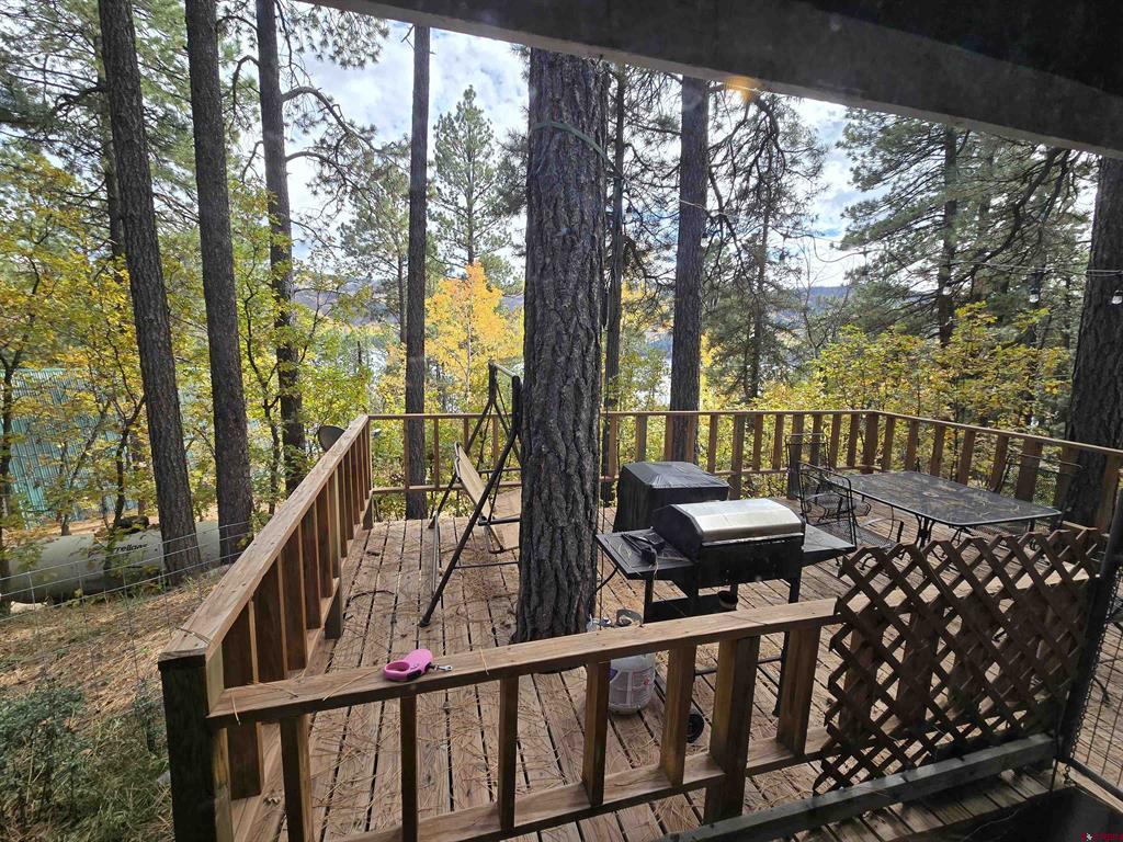14294 County Road 501 Vallecito Lake/bayfield CO 81122