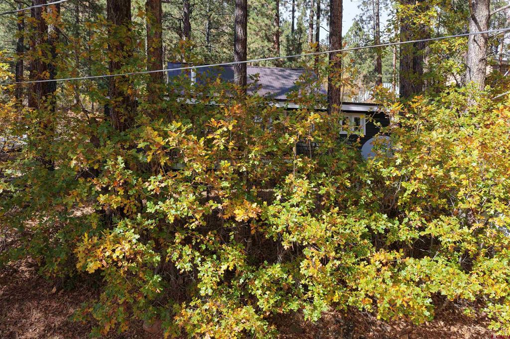 14294 County Road 501 Vallecito Lake/bayfield CO 81122