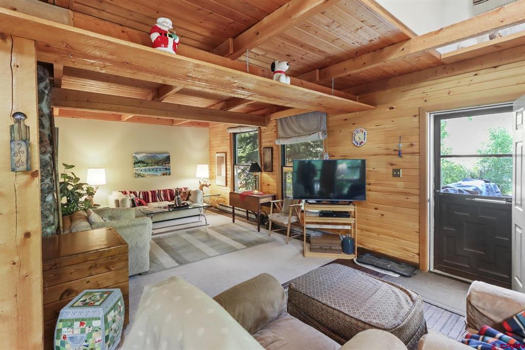 478 S Henson Street Lake City CO 81235