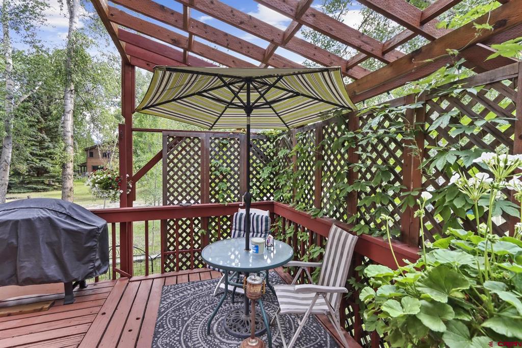 478 S Henson Street Lake City CO 81235