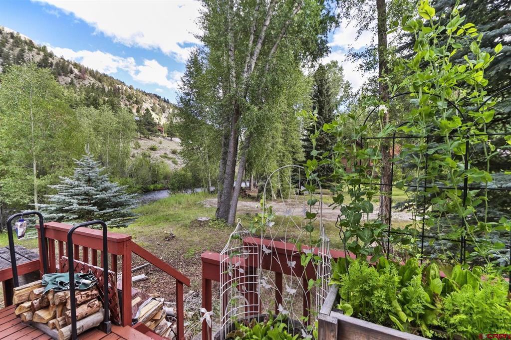 478 S Henson Street Lake City CO 81235