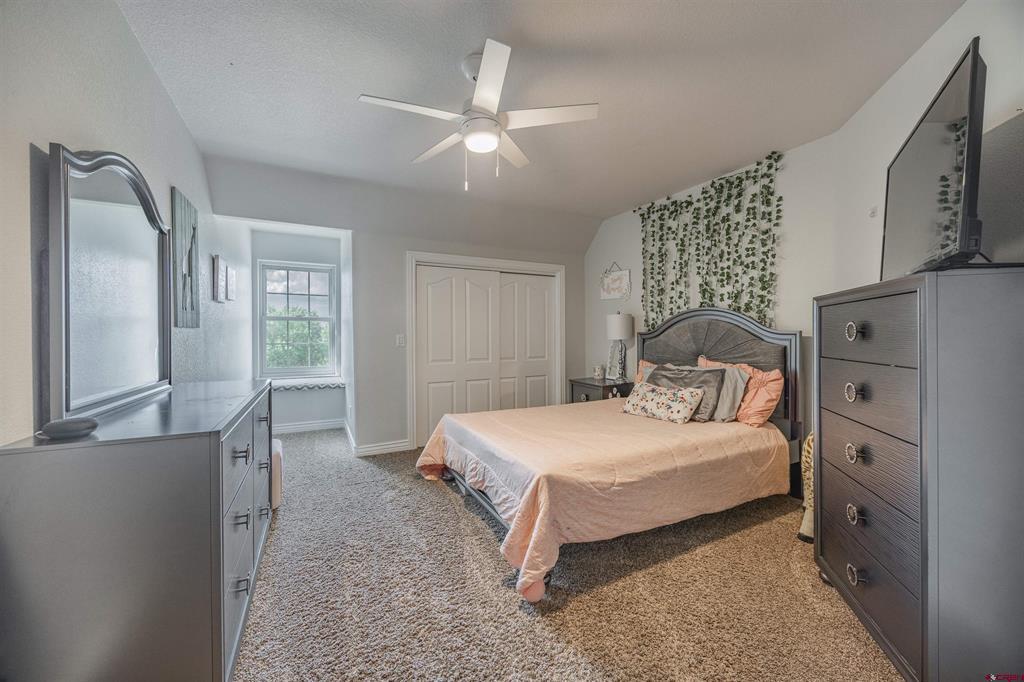 3736 Buffalo Lane Montrose CO 81403