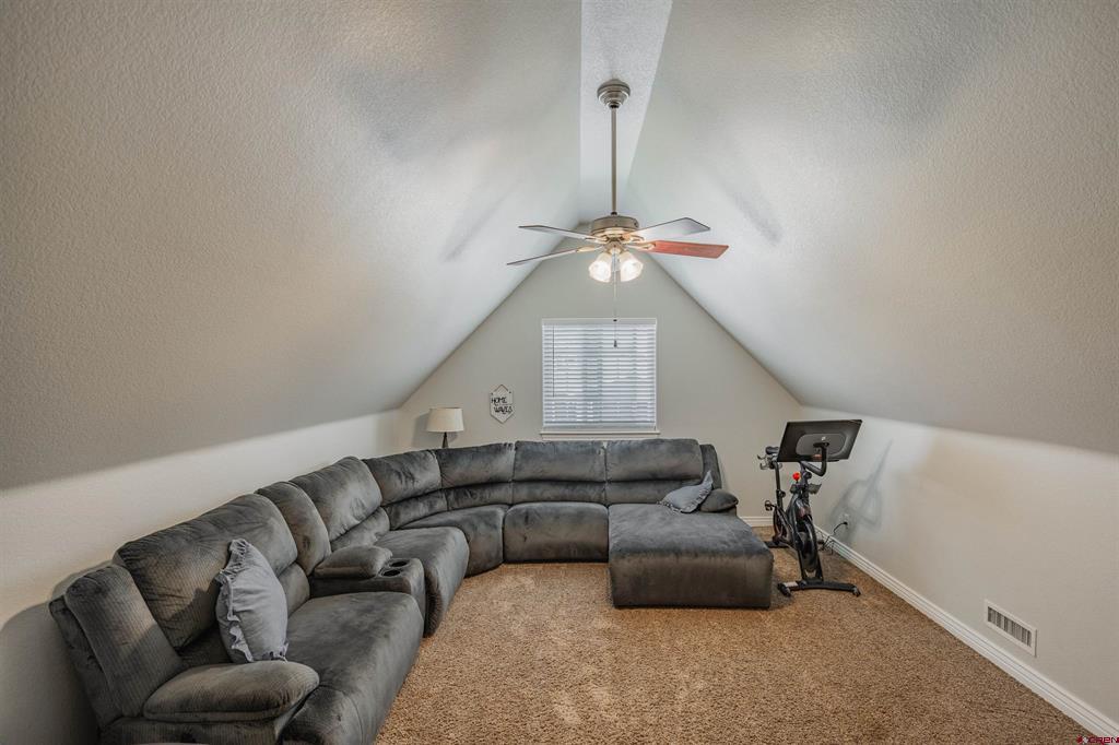 3736 Buffalo Lane Montrose CO 81403