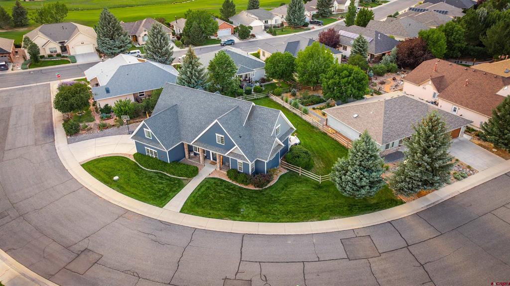 3736 Buffalo Lane Montrose CO 81403