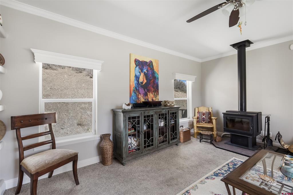 85 Hummingbird Place Pagosa Springs CO 81147