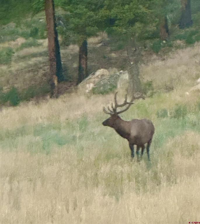 12799 Road 105 Mancos CO 81328