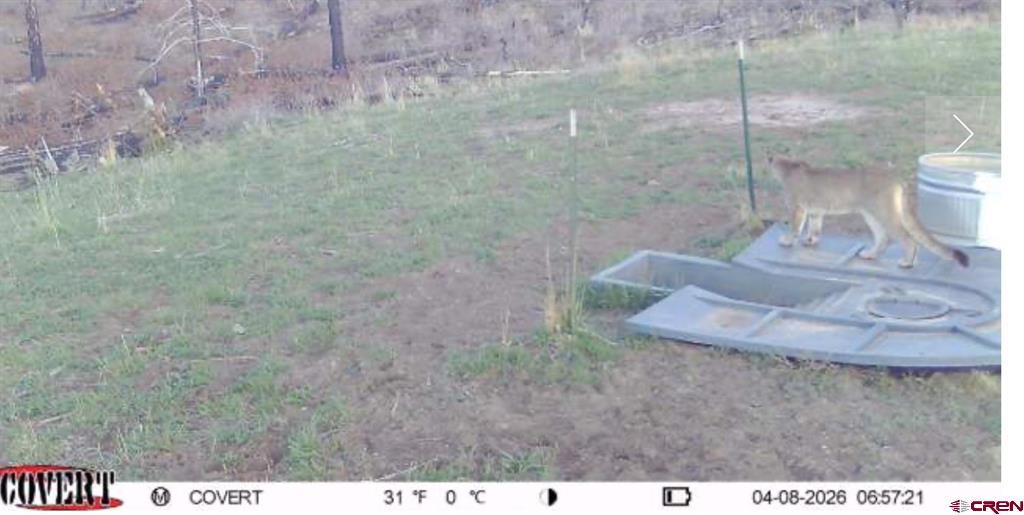 12799 Road 105 Mancos CO 81328