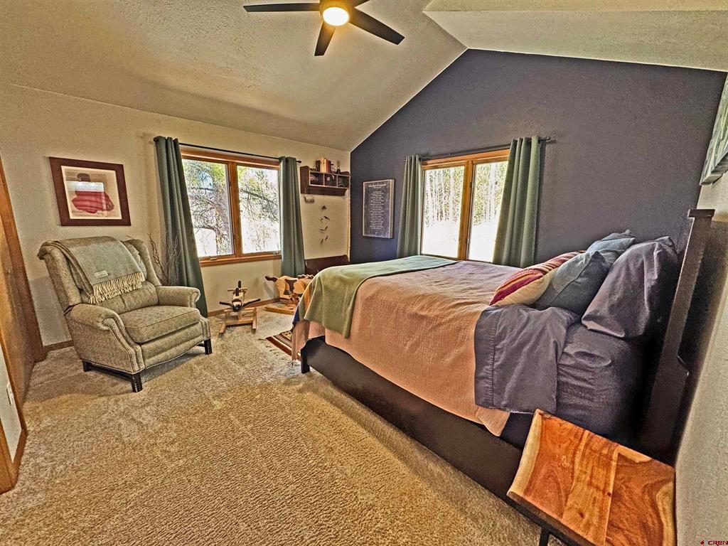 220 Skyline South Fork CO 81154