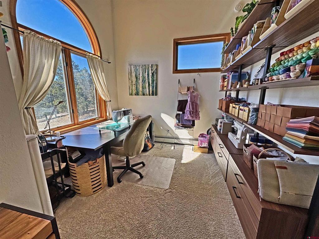 220 Skyline South Fork CO 81154