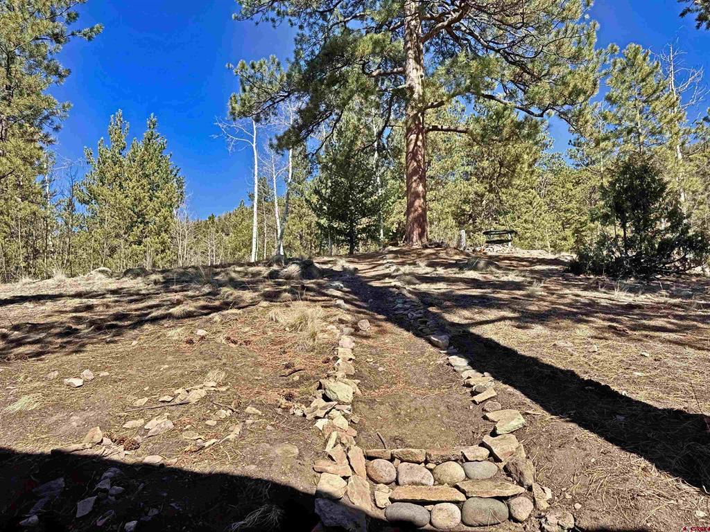 220 Skyline South Fork CO 81154