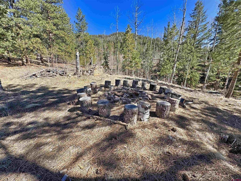 220 Skyline South Fork CO 81154