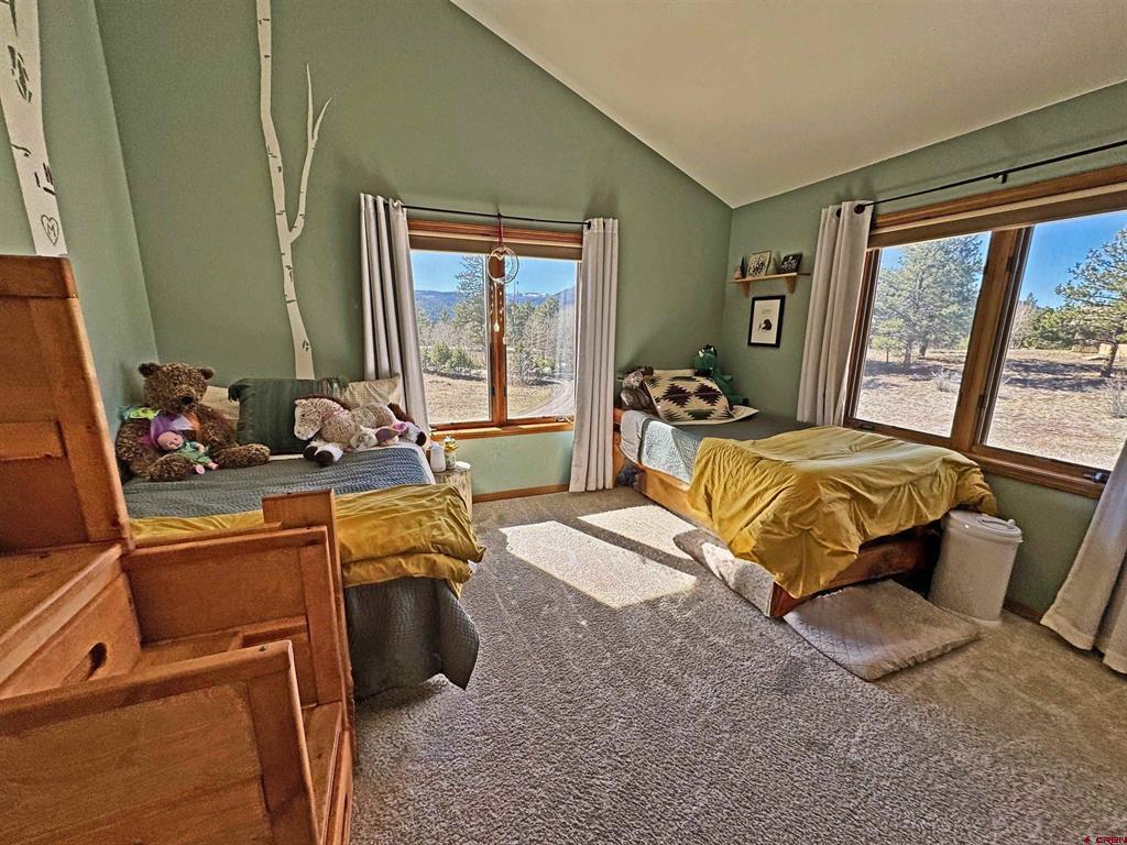 220 Skyline South Fork CO 81154