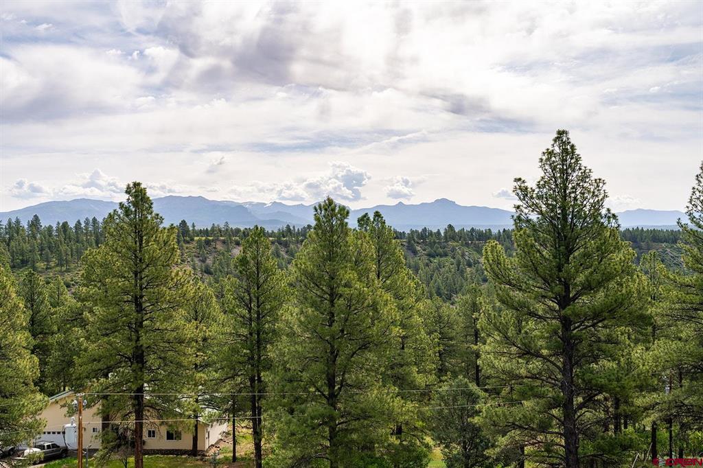 470 Buena Vista Place Pagosa Springs CO 81147