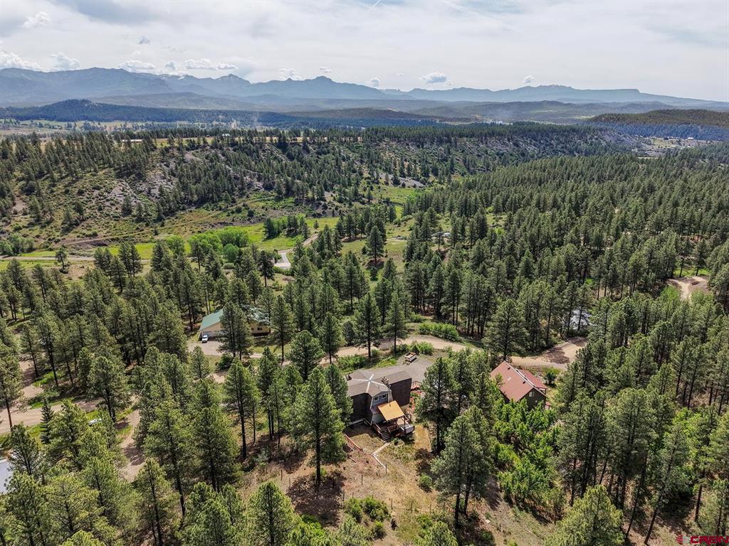 470 Buena Vista Place Pagosa Springs CO 81147