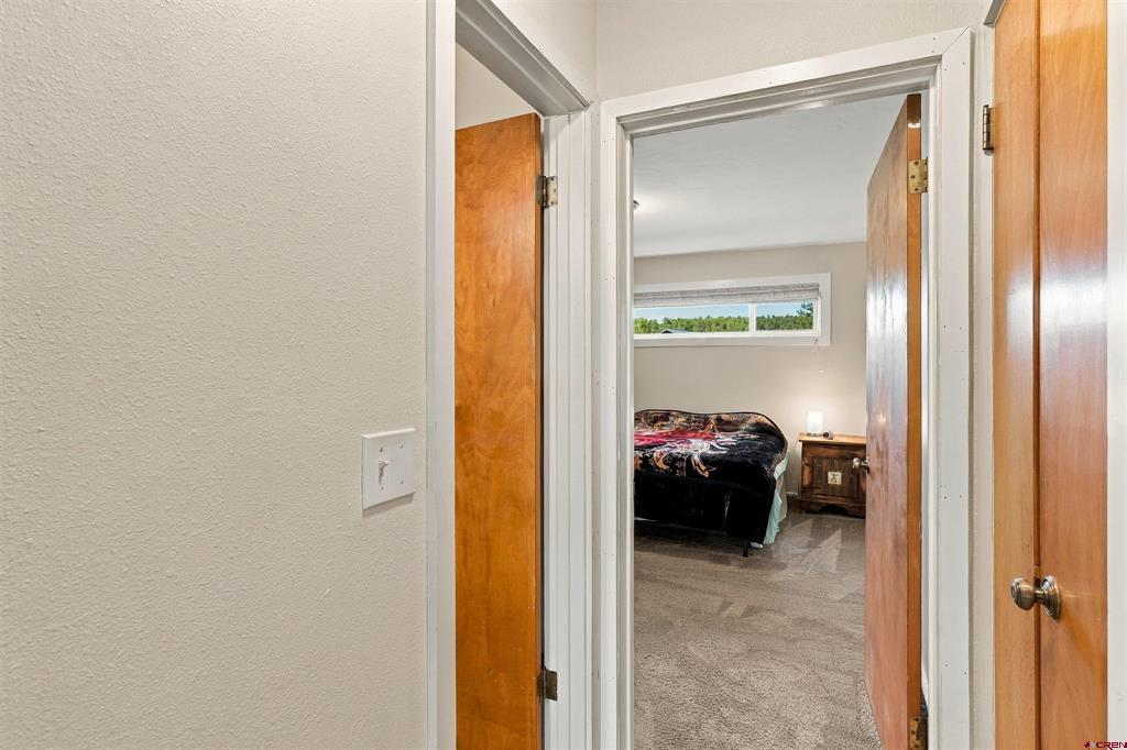 178 Hidden Drive Pagosa Springs CO 81147