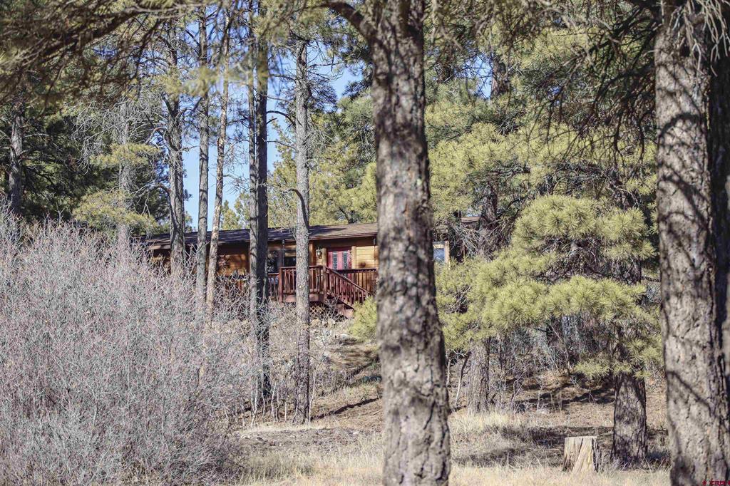 185 Shenandoah Drive Pagosa Springs CO 81147