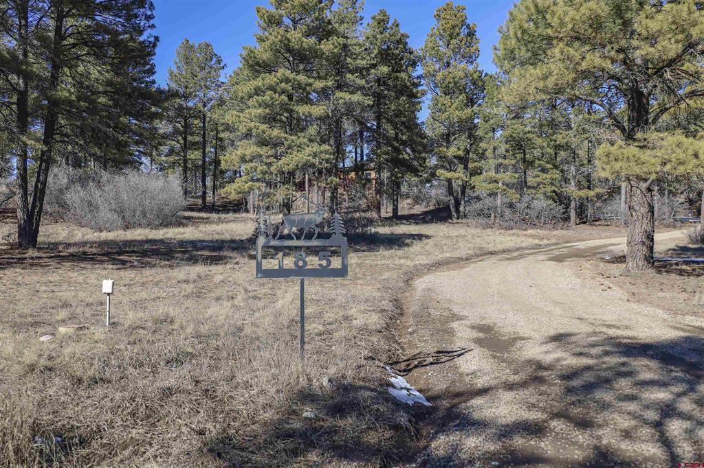 185 Shenandoah Drive Pagosa Springs CO 81147