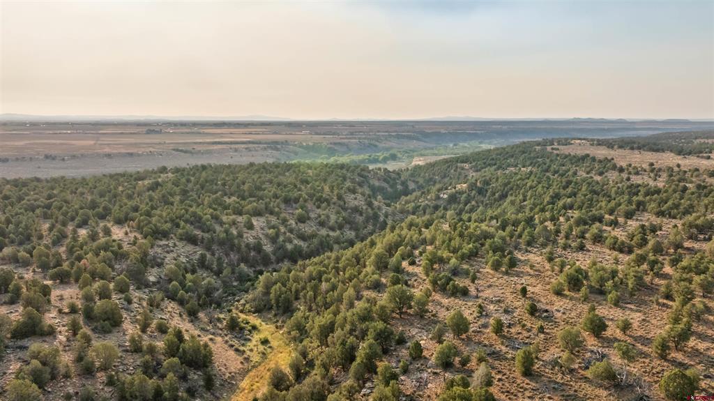 Tbdwp County Road 106 Hesperus CO 81326