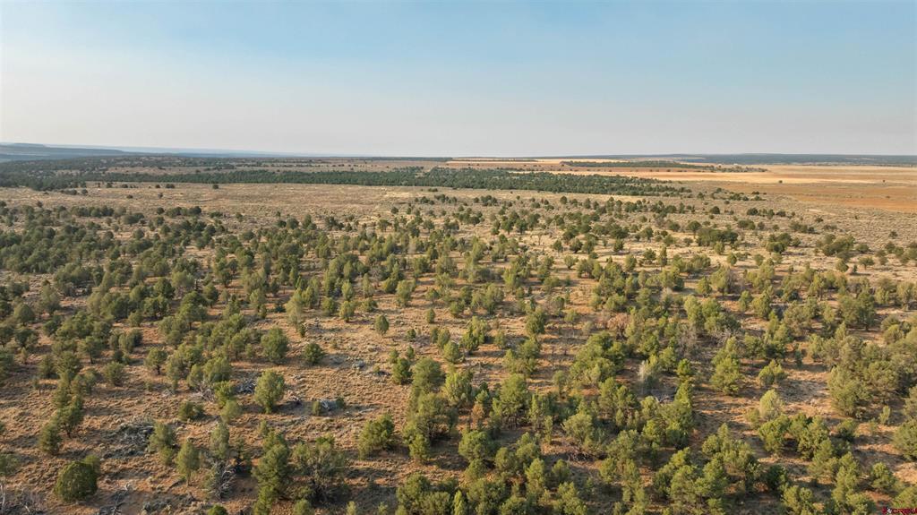 Tbdwp County Road 106 Hesperus CO 81326