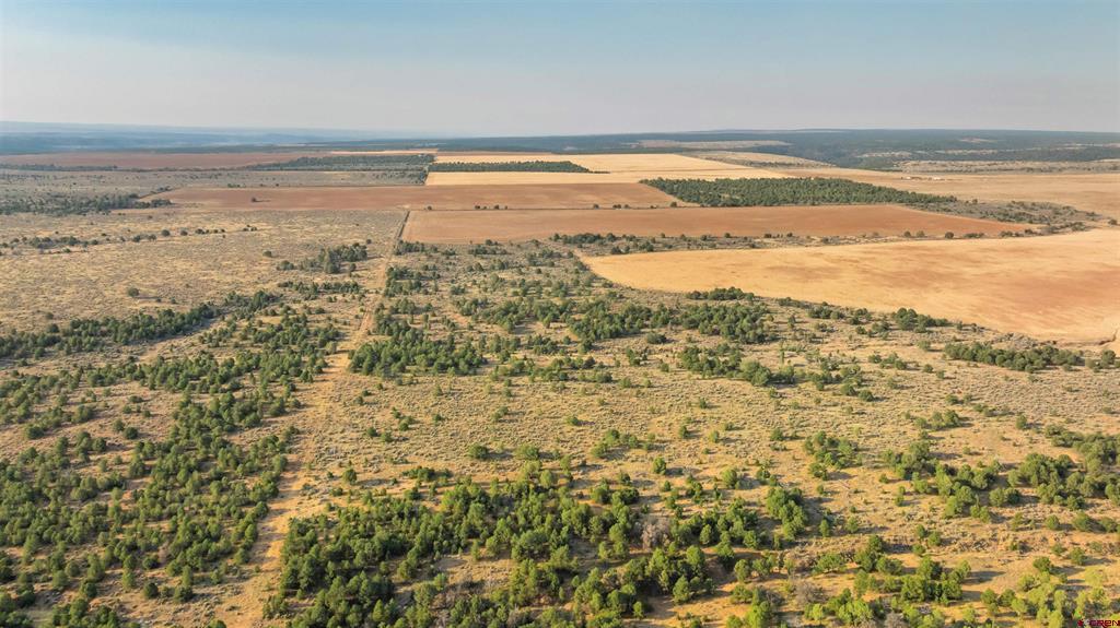 Tbdwp County Road 106 Hesperus CO 81326