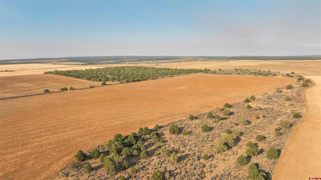 Tbdwp County Road 106 Hesperus CO 81326