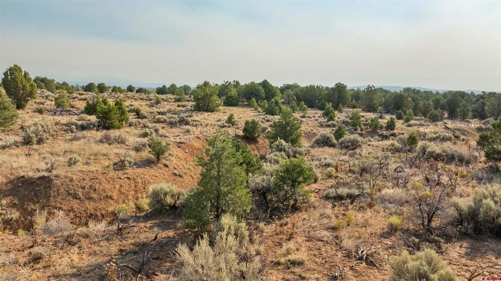 Tbdwp County Road 106 Hesperus CO 81326