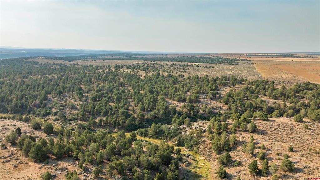 Tbdwp County Road 106 Hesperus CO 81326