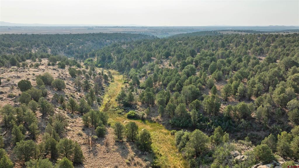 Tbdwp County Road 106 Hesperus CO 81326