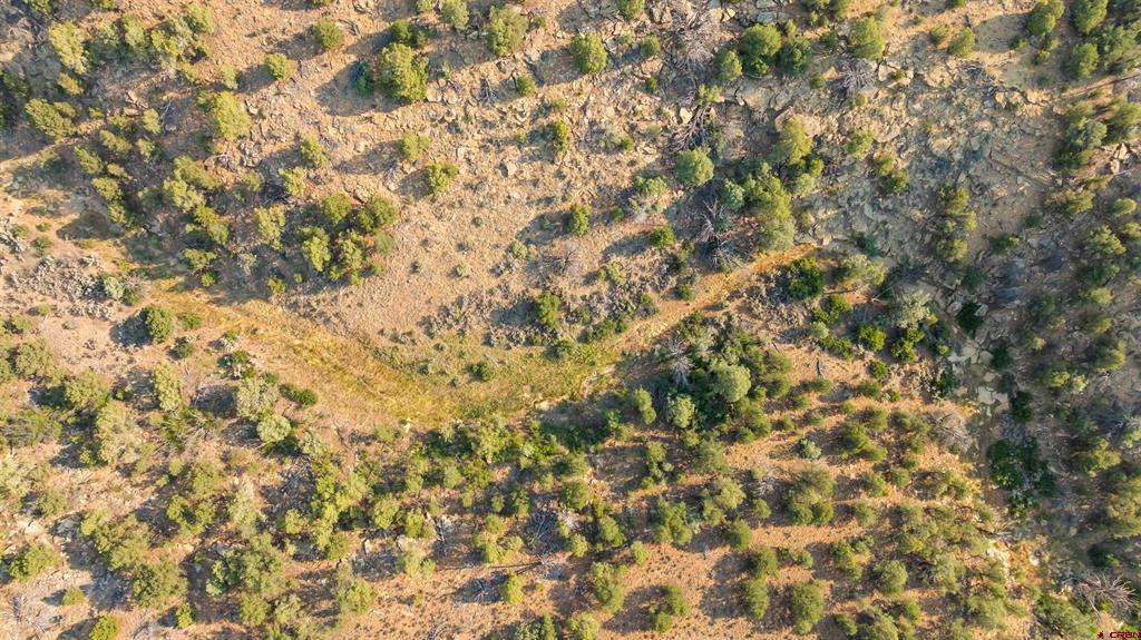 Tbdwp County Road 106 Hesperus CO 81326