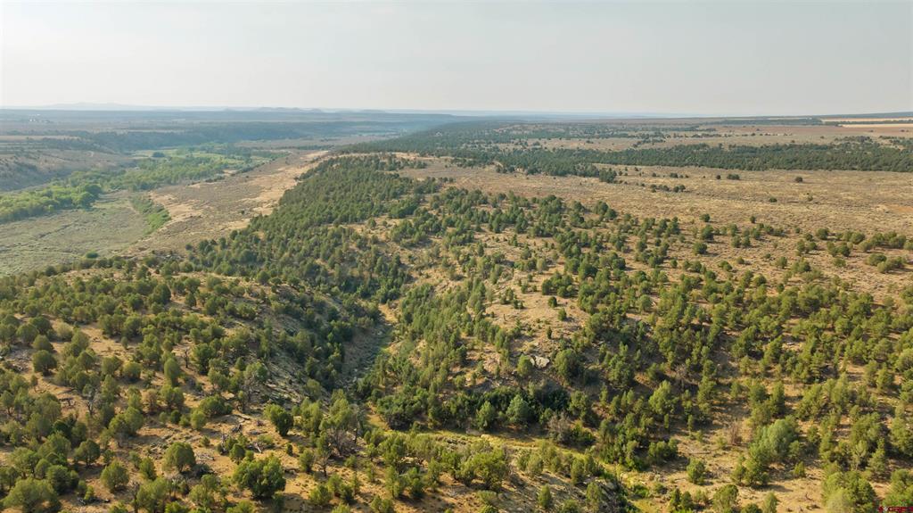 Tbdwp County Road 106 Hesperus CO 81326