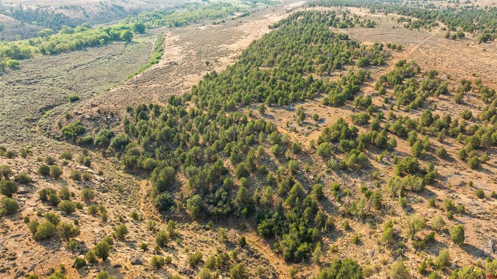 Tbdwp County Road 106 Hesperus CO 81326