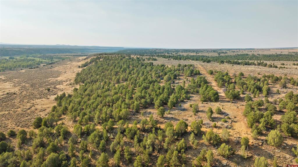 Tbdwp County Road 106 Hesperus CO 81326