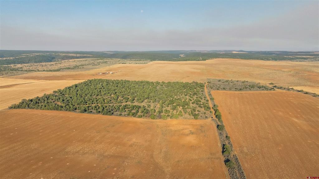 Tbdwp County Road 106 Hesperus CO 81326