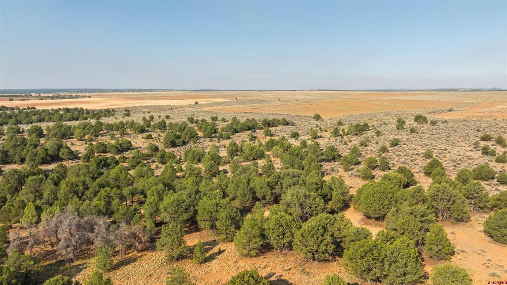 Tbdwp County Road 106 Hesperus CO 81326