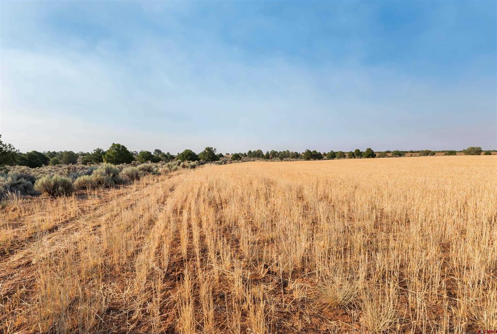 Tbdwp County Road 106 Hesperus CO 81326