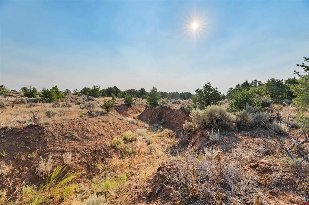 Tbdwp County Road 106 Hesperus CO 81326