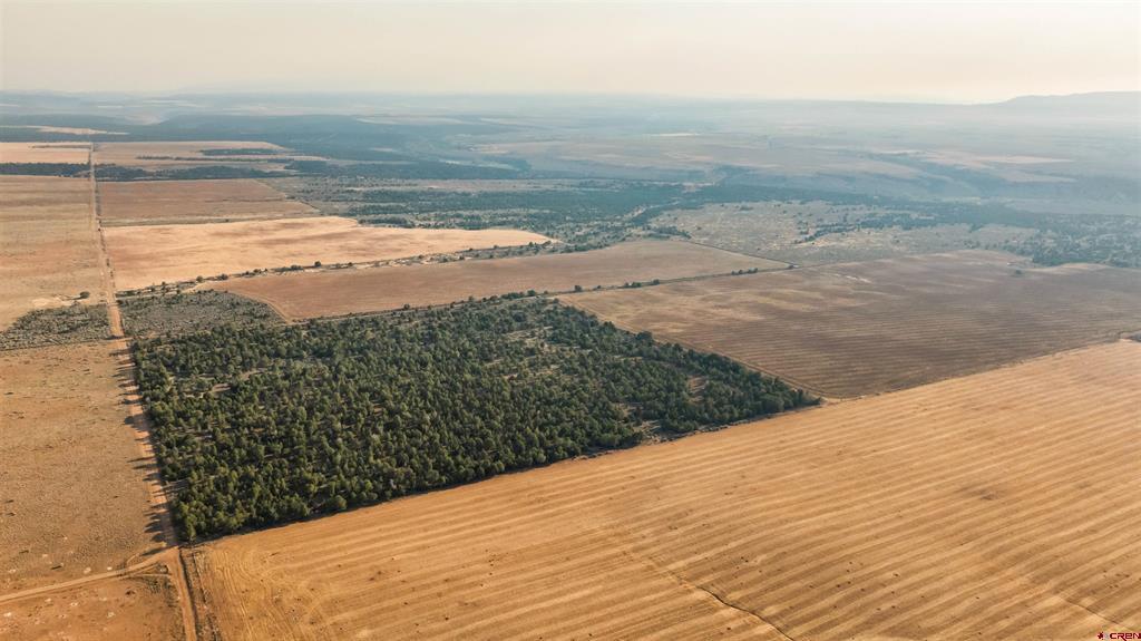 Tbdwp County Road 106 Hesperus CO 81326