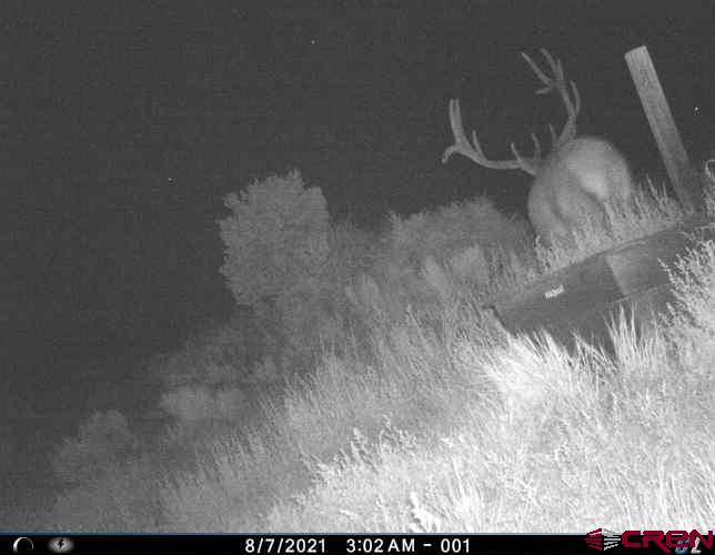 Tbdwp County Road 106 Hesperus CO 81326