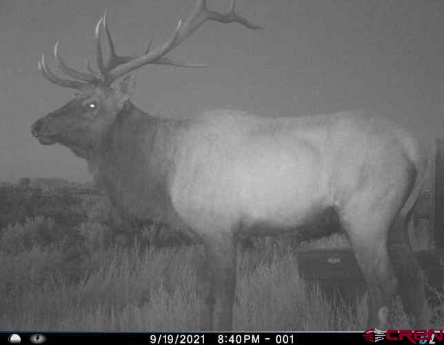 Tbdwp County Road 106 Hesperus CO 81326