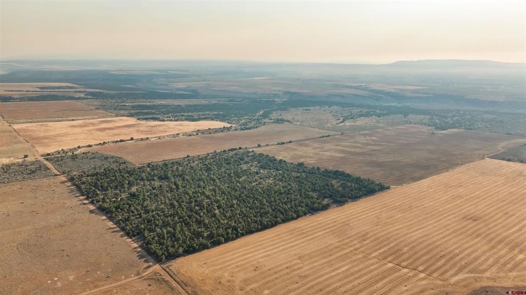 Tbdwp County Road 106 Hesperus CO 81326