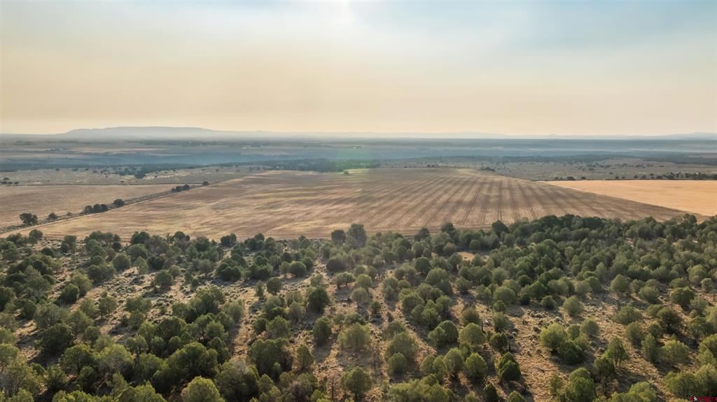 Tbdwp County Road 106 Hesperus CO 81326