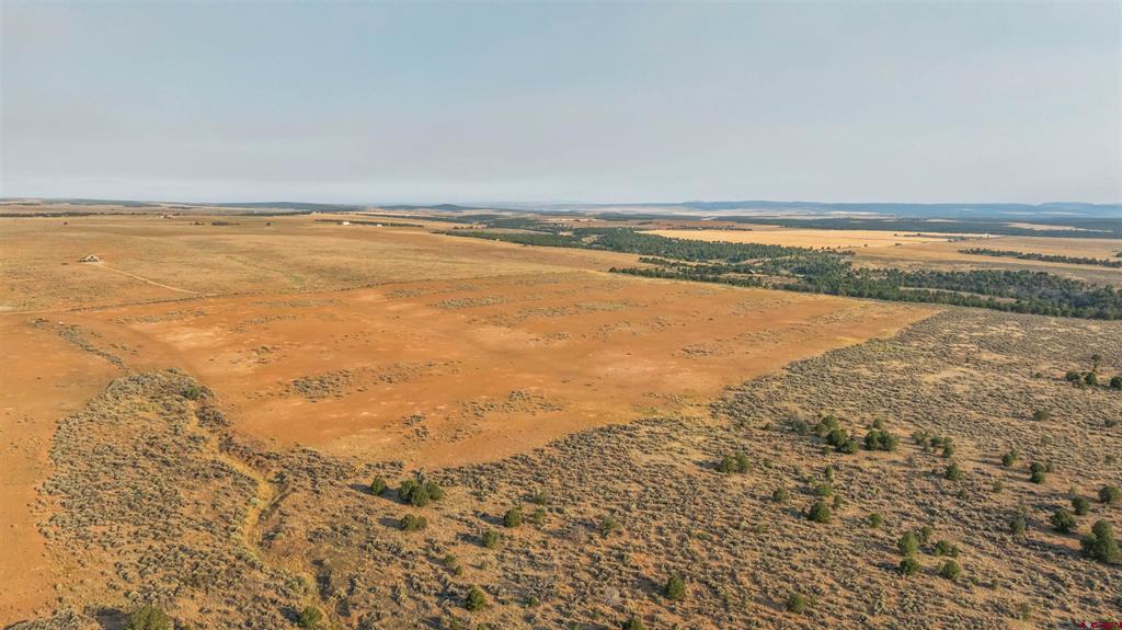 Tbdwp County Road 106 Hesperus CO 81326