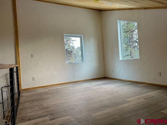 21 Jan's Court Pagosa Springs CO 81147
