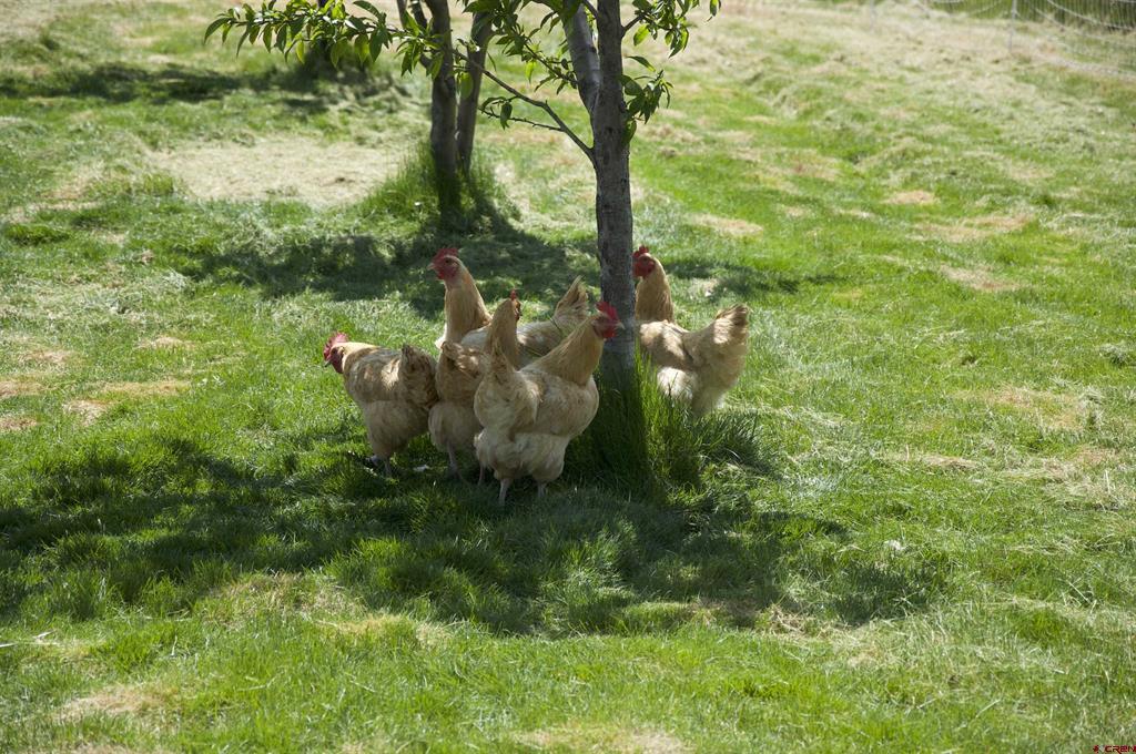 12817 6100 Road Montrose CO 81403