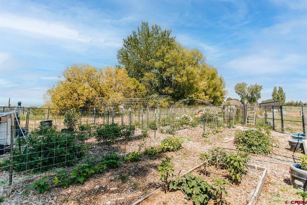 12817 6100 Road Montrose CO 81403