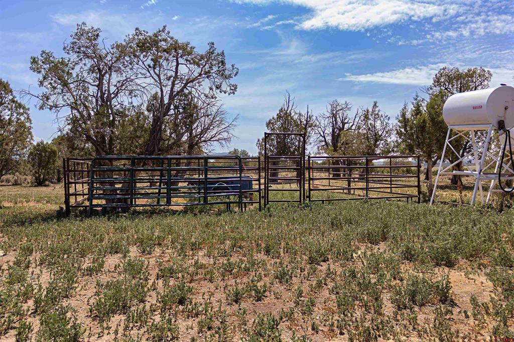 320 County Road 329 Allison CO 81137