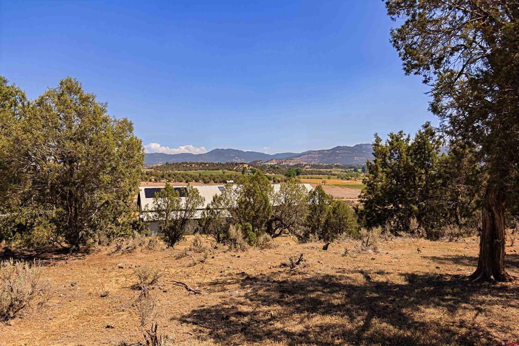 320 County Road 329 Allison CO 81137